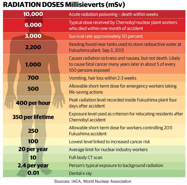 A graph communicates safe amounts of radiation that patients can expect during a dental visit.